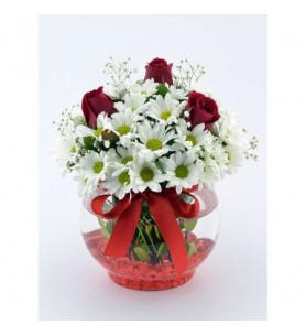 Cam Fanus 3 Gül Ve Papatya