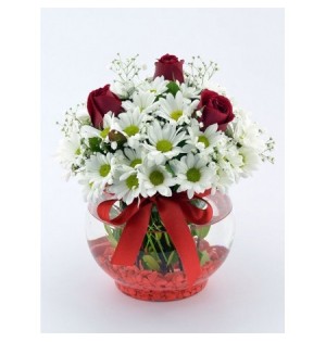 Cam Fanus 3 Gül Ve Papatya