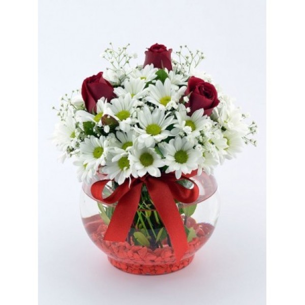 Cam Fanus 3 Gül Ve Papatya