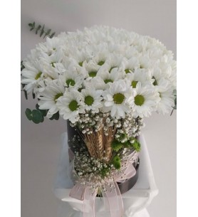 cam fanusta beyaz  kasımpatı