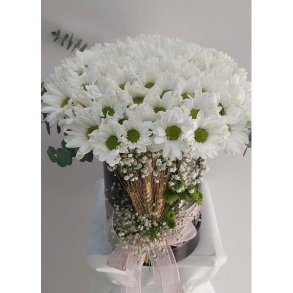 cam fanusta beyaz  kasımpatı